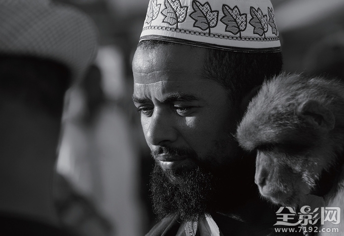 日落家园阅读理解答案 日落家园是真人秀吗