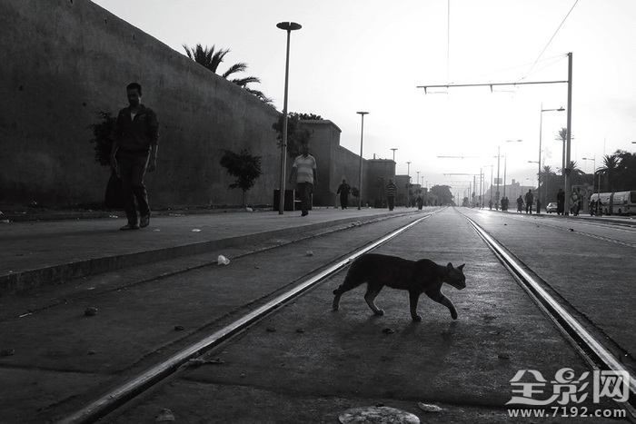 日落家园阅读理解答案 日落家园是真人秀吗