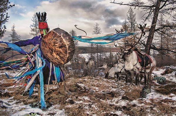 泰加针叶林带 泰加林是由耐寒的针叶林组成的植被类型图1