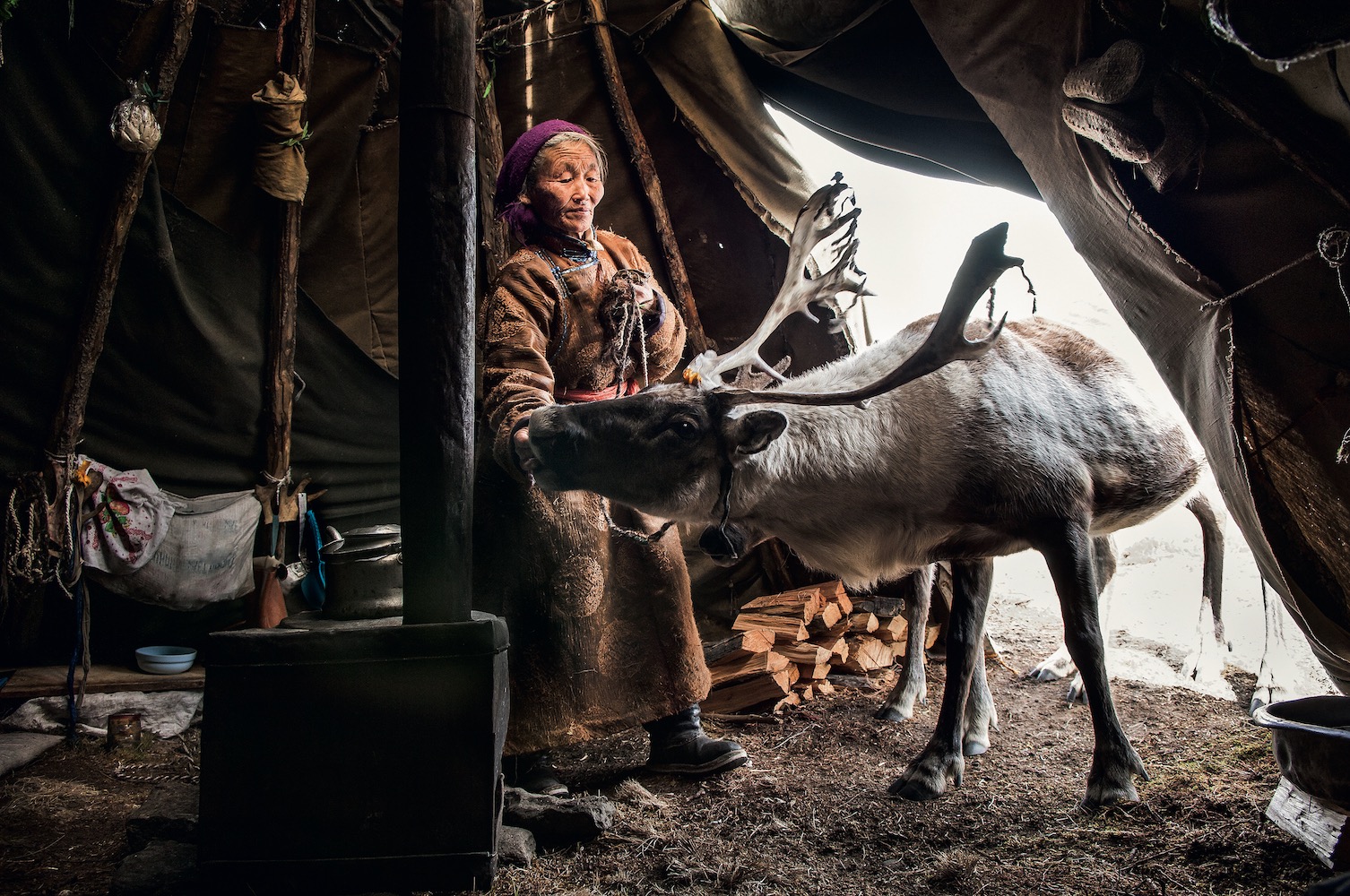 泰加针叶林带 泰加林是由耐寒的针叶林组成的植被类型图2