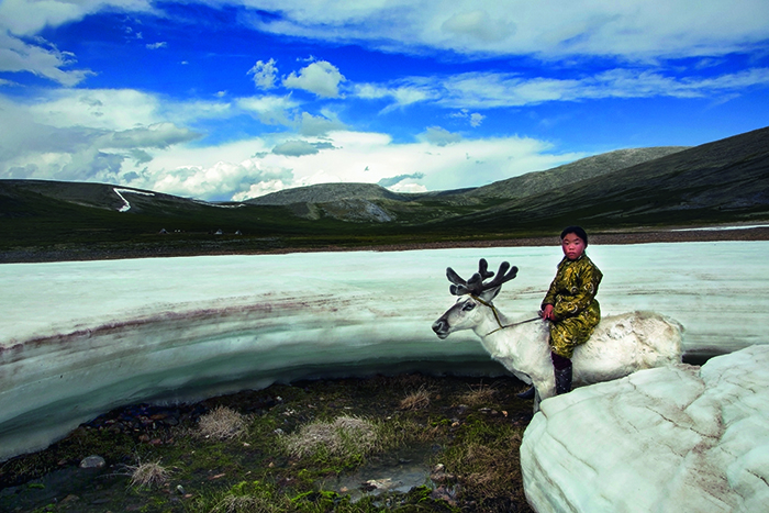 泰加针叶林带 泰加林是由耐寒的针叶林组成的植被类型