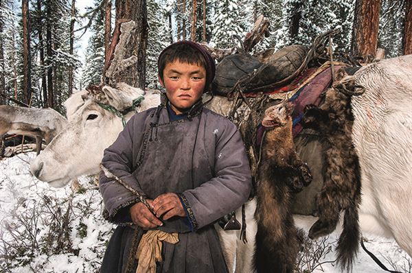 泰加针叶林带 泰加林是由耐寒的针叶林组成的植被类型