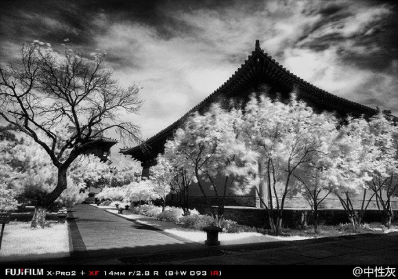 红外摄影百科 红外摄影什么意思