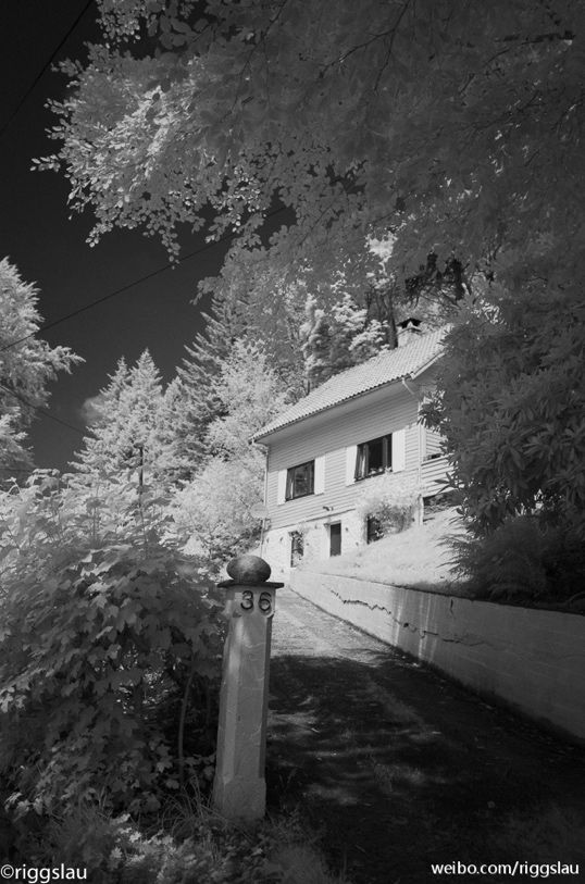 红外摄影百科 红外摄影什么意思