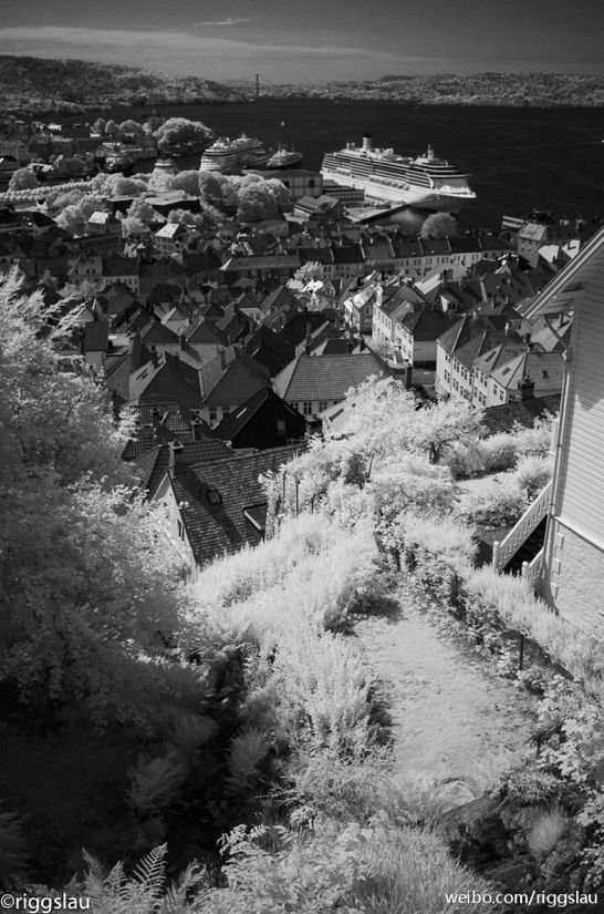 红外摄影百科 红外摄影什么意思