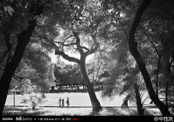 红外摄影百科 红外摄影什么意思