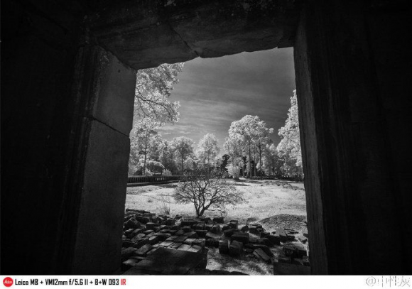 红外摄影百科 红外摄影什么意思