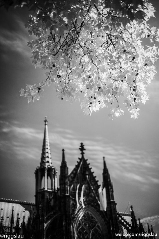 红外摄影百科 红外摄影什么意思