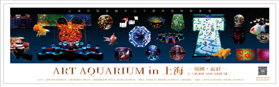 金鱼展览 上海 上海哪有金鱼渔场