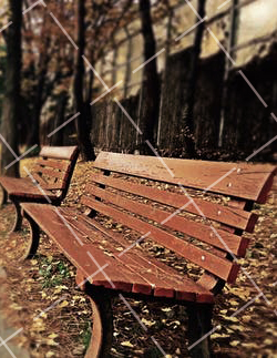 摄影用光技巧 《摄影用光》