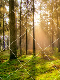 2020 拍摄服装静物图如何选购摄影棚设备 服装创意静物拍摄方法