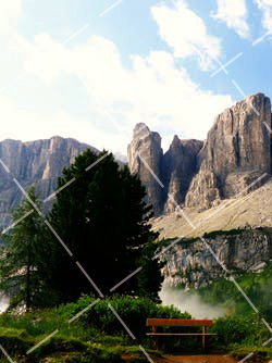 又是一年红叶时 又是一年落叶红