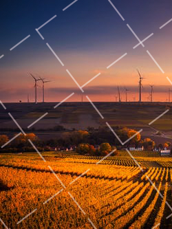 如何推销摄影产品 摄影师怎么推广自己