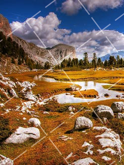 高感光度拍什么 超高感光度