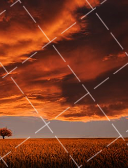 360全景相机怎么拍 360全景拍摄技巧