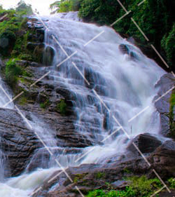 令人惊叹的10个微距摄影技巧 微距摄影教程