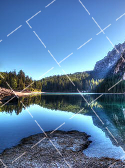 荷花如何拍摄 拍摄荷花的姿势规范