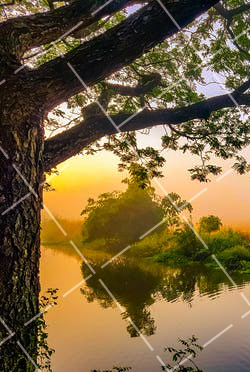 高超摄影技术照出不同凡响的精彩图片 高超的摄影作品,给人带来无限美的享受