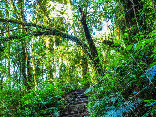 最需要提高感光度的 4 大拍摄题材是 拍摄时感光度提高的优缺点