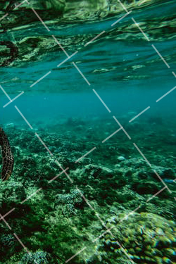 拍立得摄影作品 拍立得产品介绍