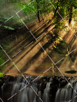 体育摄影拍摄技巧 体育摄影是什么意思