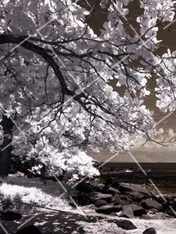 翻拍的配光要求 翻拍的要求