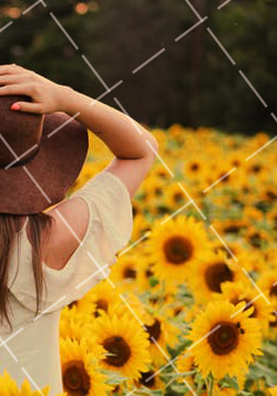 高超摄影技术照出不同凡响的精彩图片 高超的摄影作品,给人带来无限美的享受_1