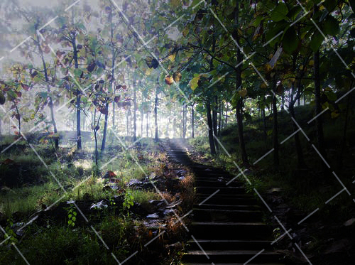 2021拍摄服装关于摄影棚的问题有哪些 服装摄影棚布置