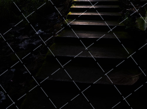 2020 素雅风格场景拍摄手表图片 手表创意拍摄