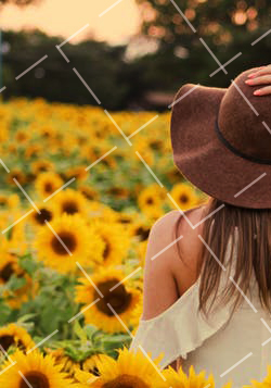 摄影微距是什么意思 微距摄影的魅力