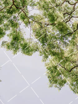 如何拍好城市中的美景视频 如何拍摄城市