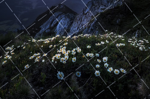 2020 摄影高手拍摄倒影的10个诀窍是什么 拍摄倒影的技巧