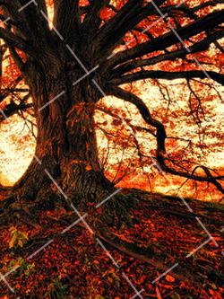 如何巧用反光板做手工 怎么用反光板