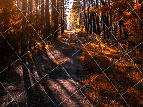 自学摄影用什么相机 自学摄影app推荐