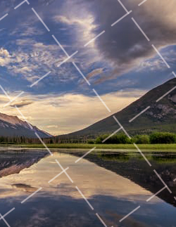 2020 广告摄影-广告摄影构图的基本要求是什么 广告摄影的构图形式种类