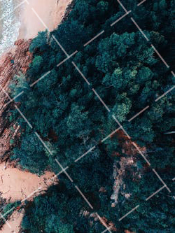 拍萌宠应该怎样拍 拍宠物技巧