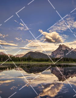 摄影静物技巧 静物摄影教程