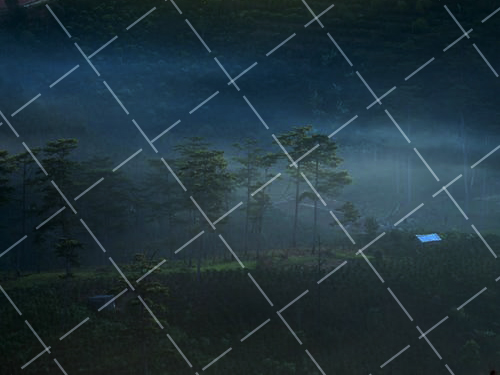 新闻摄影抓拍有感600字 新闻摄影拍摄心得