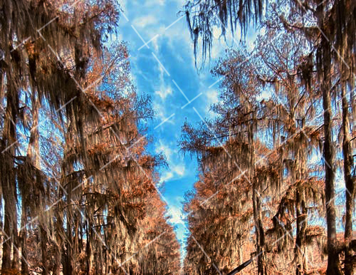 风光摄影入门技巧,摄影构图方法有哪些 风光摄影如何构图