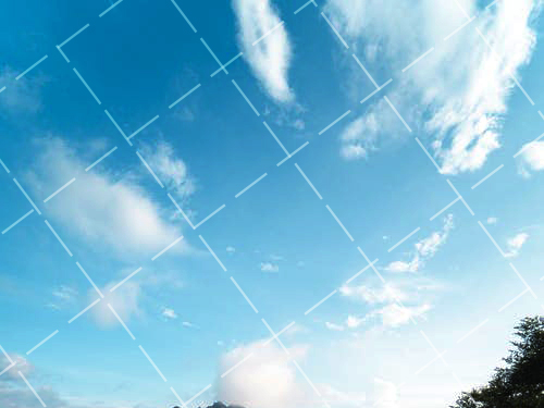 2020 女装场景平拍技巧图 女装平铺拍摄