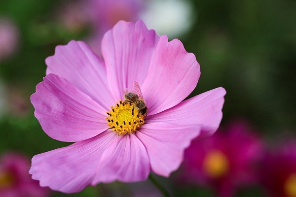 3000元微单 微单3000左右推荐