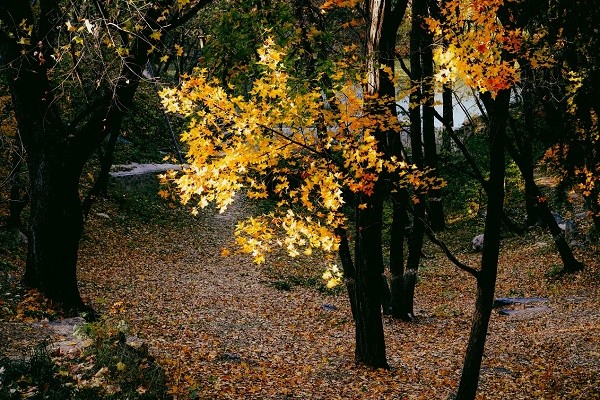 3000元微单 微单3000左右推荐