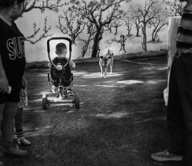 邹佩珍个人资料 邹佩真嫁人了吗