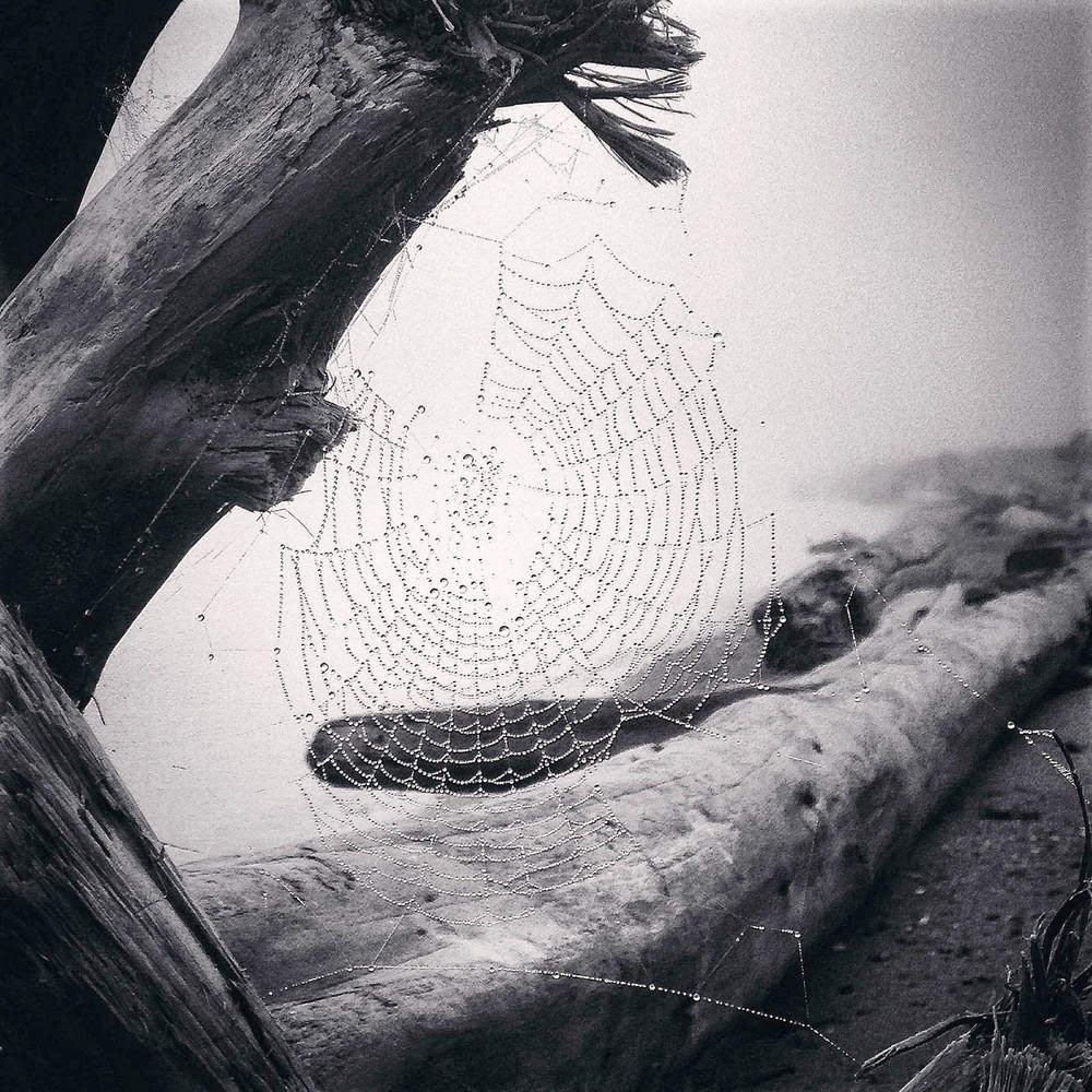 2016年ippa摄影大赛获奖作品 2015摄影大赛获奖作品