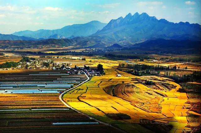 中国获奖摄影作品欣赏 中国摄影获奖作品照片