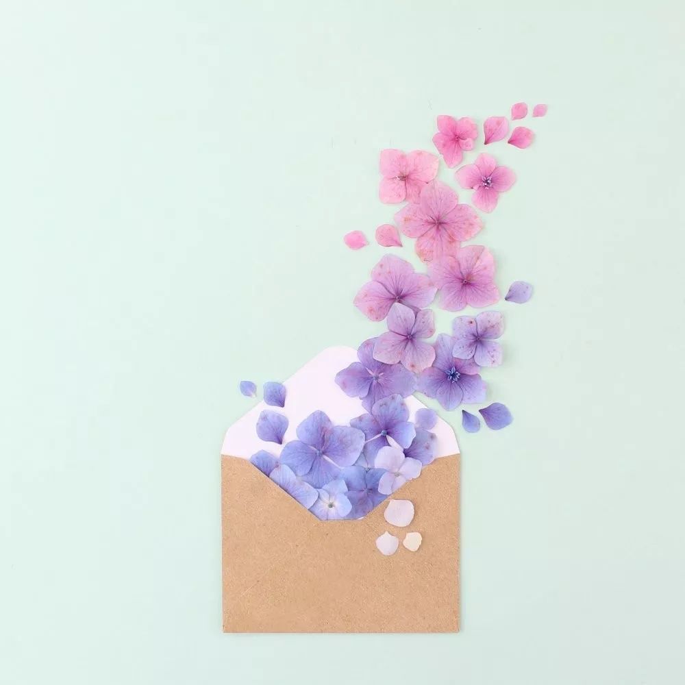 色彩强调图片 色彩强弱感图片