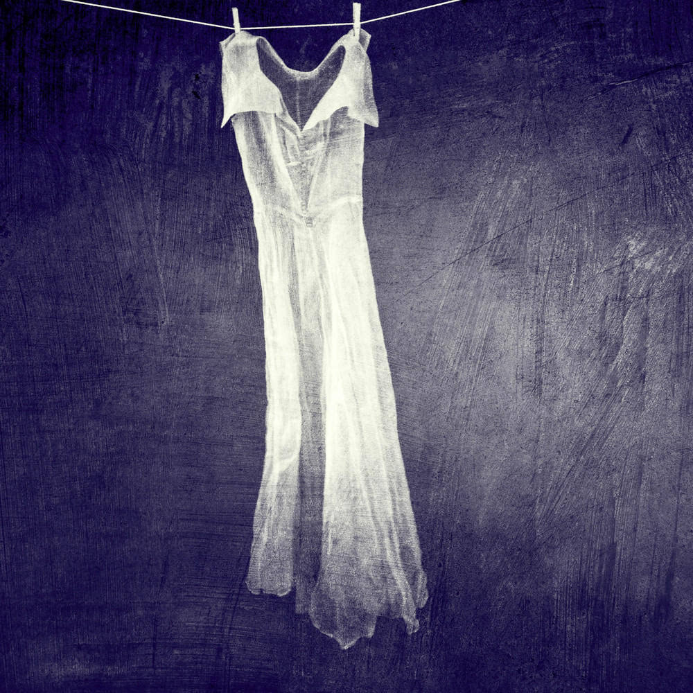 2016年ippa摄影大赛获奖作品 2015摄影大赛获奖作品