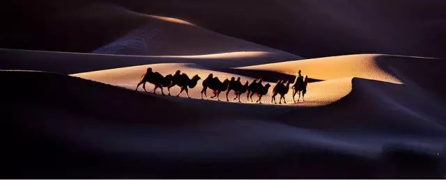 中国获奖摄影作品欣赏 中国摄影获奖作品照片