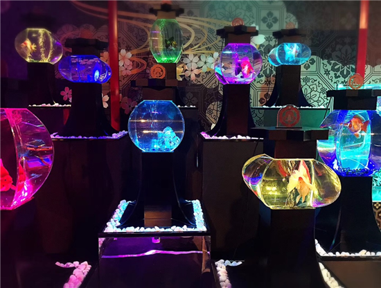 金鱼展览 上海 上海哪有金鱼渔场