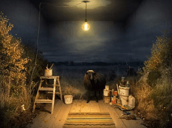 摄影photoshop photo摄影